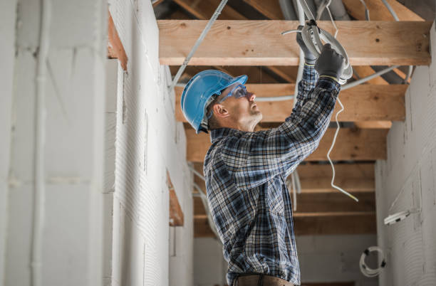 Best Ceiling Fan Installation Electrician  in La Harpe, IL